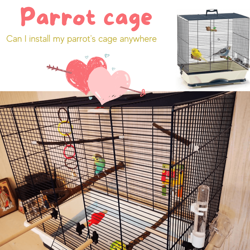 Parrot cage