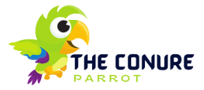 The conure parrot