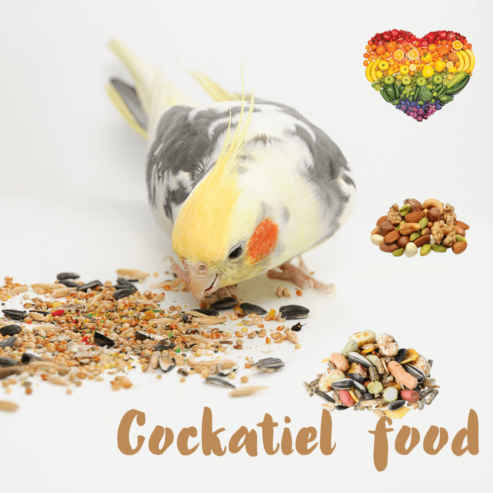 Cockatiel food
