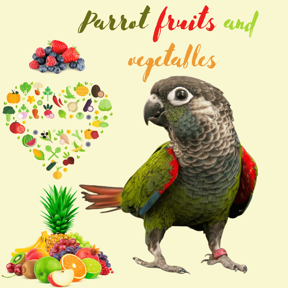 Parrot fruits and vegetables