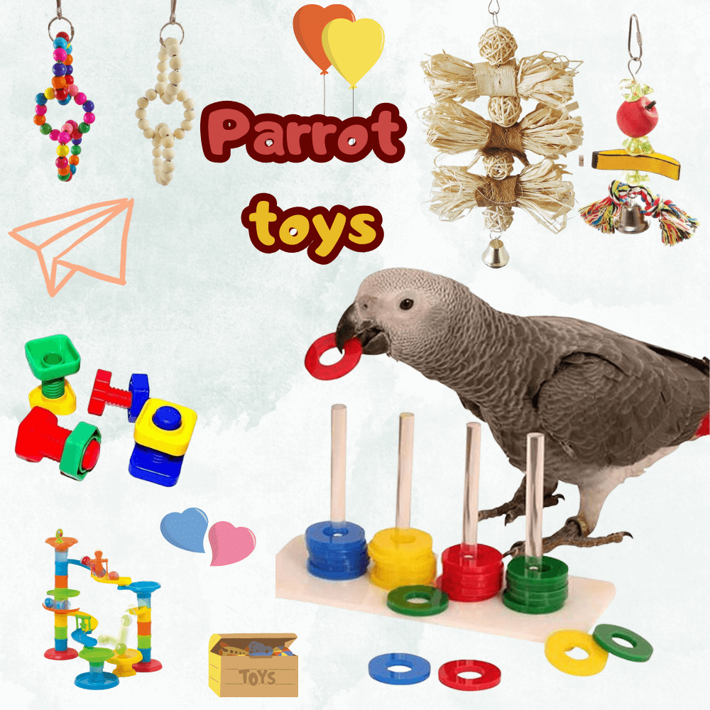 Parrot toys